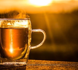 Soldyrkaren - The Tea Centre of Stockholm