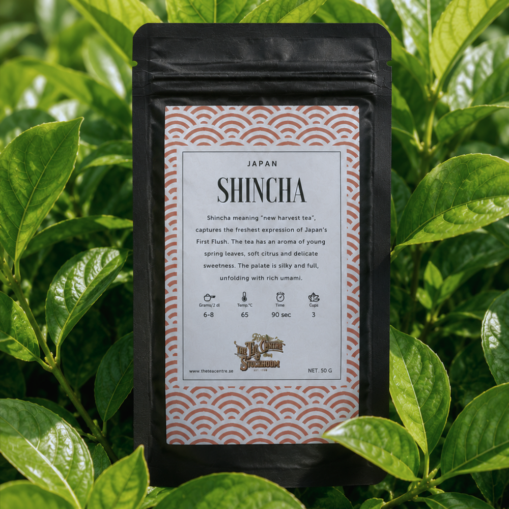 Shincha 2026
