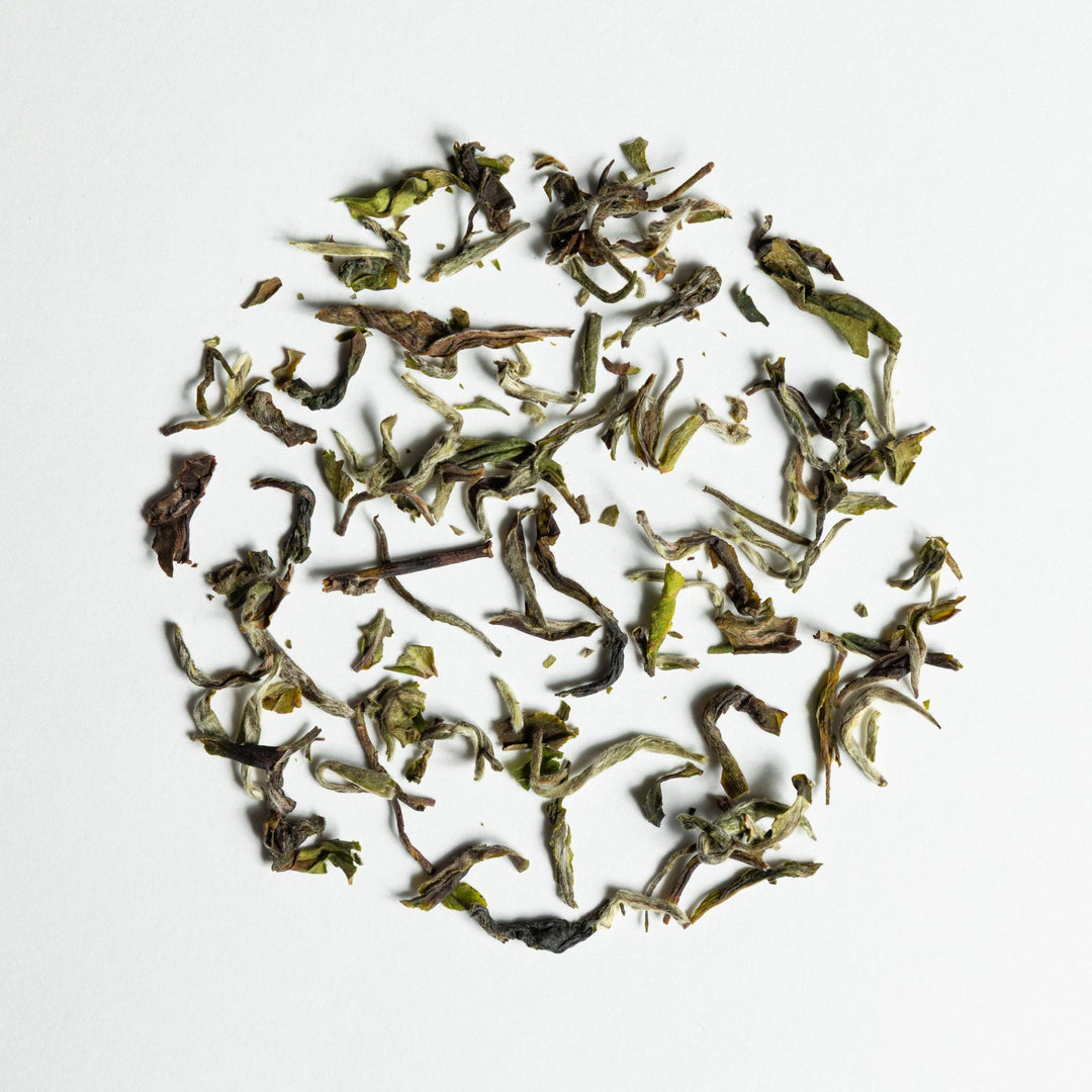 Namring Zenith - Darjeeling First Flush 2026 - The Tea Centre of Stockholm