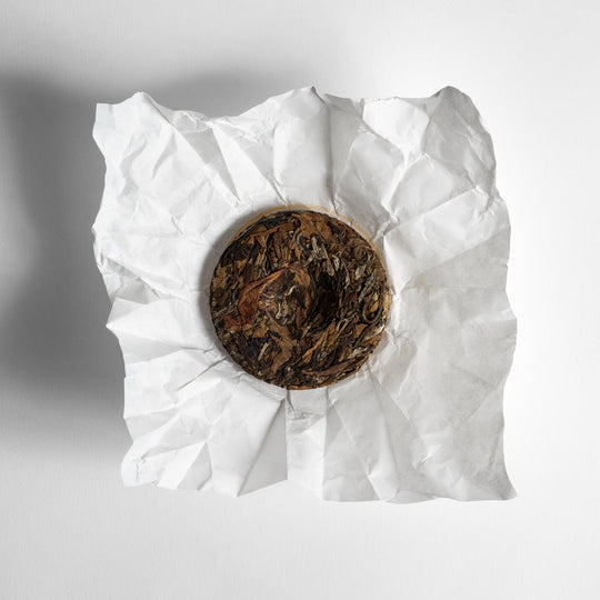 White Pu Erh Cake 2022 - The Tea Centre of Stockholm