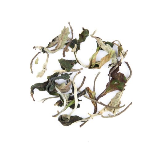 Bai Mu Dan - The Tea Centre of Stockholm